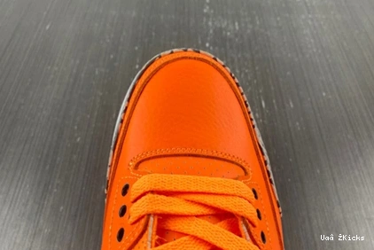 Retro Air "Orange" CT8532-801 394 Affordable Jordan 3 1004